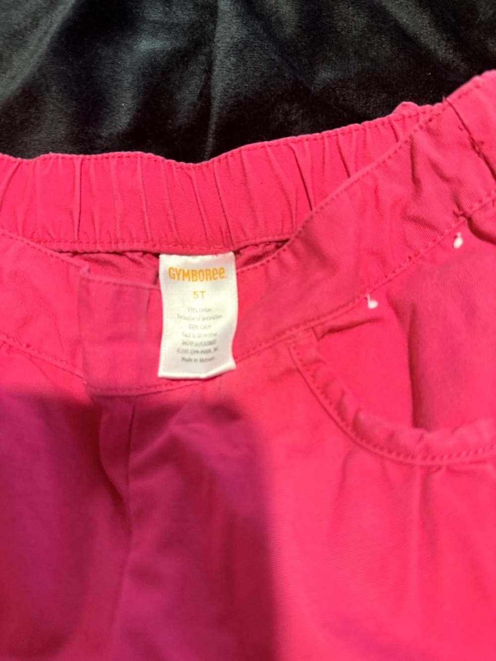Gymboree Pants